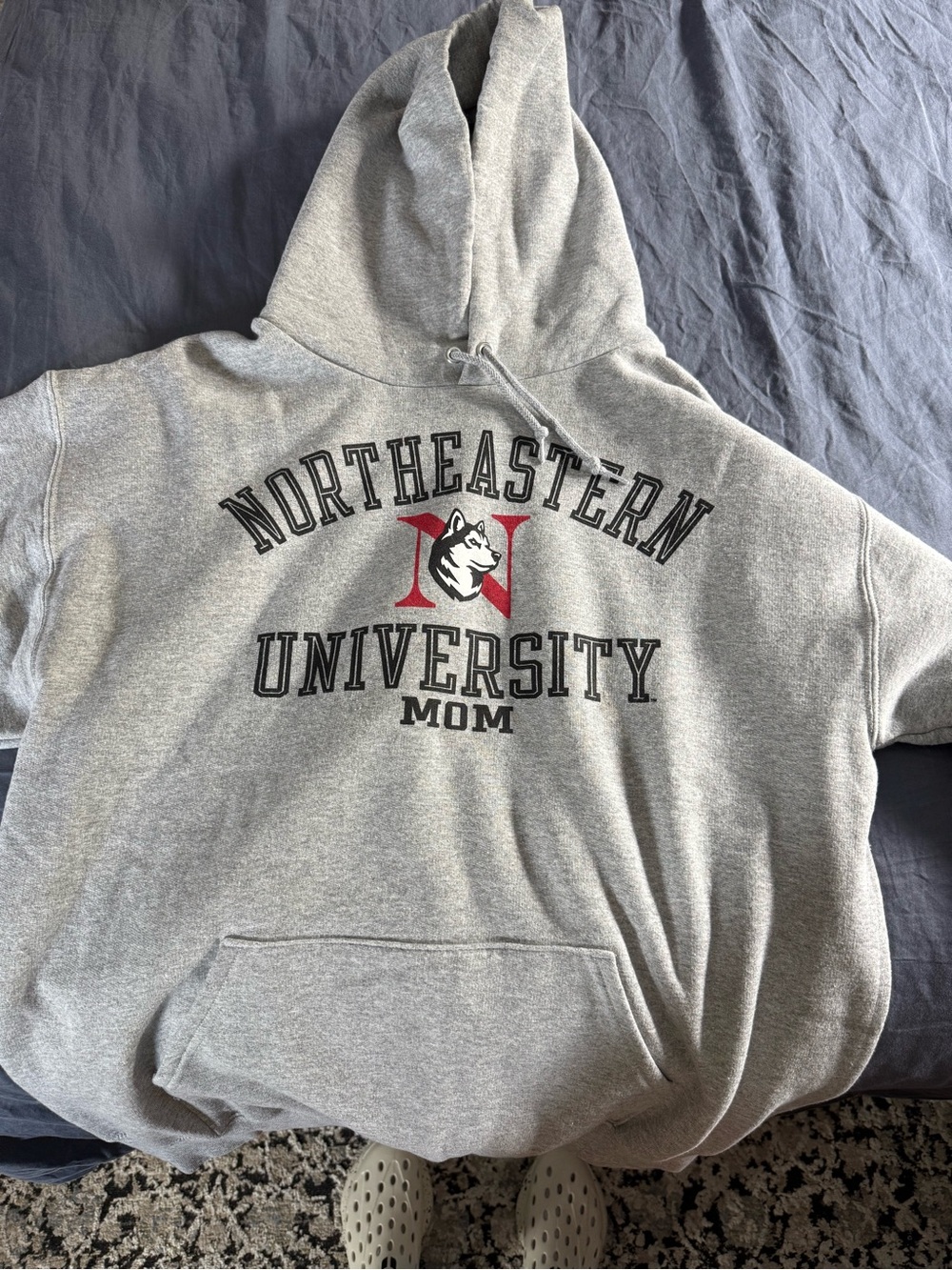 Northeastern Champion Hoodie